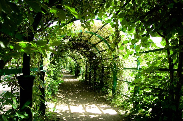 Arch
