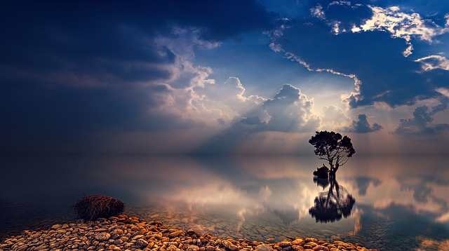 Reflection